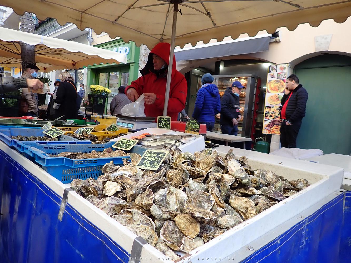 TOULON 21 01 2021  (56).JPG